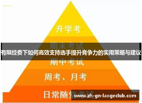 有限经费下如何高效支持选手提升竞争力的实用策略与建议