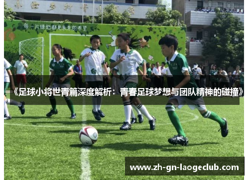 《足球小将世青篇深度解析：青春足球梦想与团队精神的碰撞》