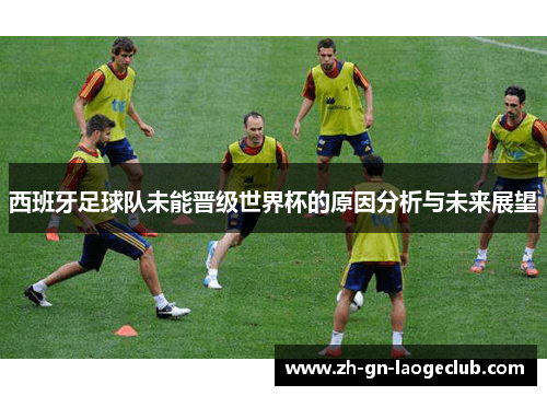 西班牙足球队未能晋级世界杯的原因分析与未来展望